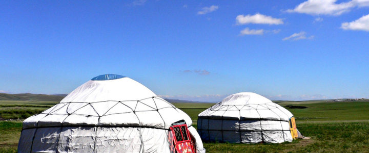 Un’estate in Mongolia: agricoltura ecologica nelle steppe