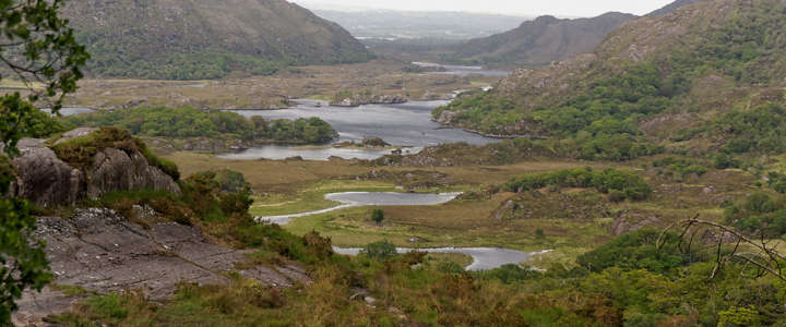 Conservazione del Killarney National Park: un campo in Irlanda