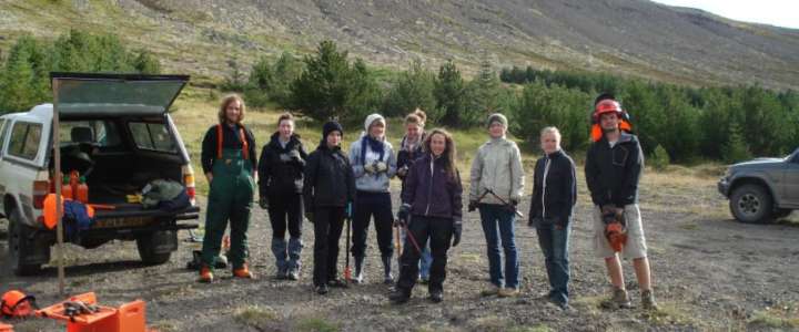 Campo di volontariato a Reykjavík: Environmentally Aware & Trash Hunting