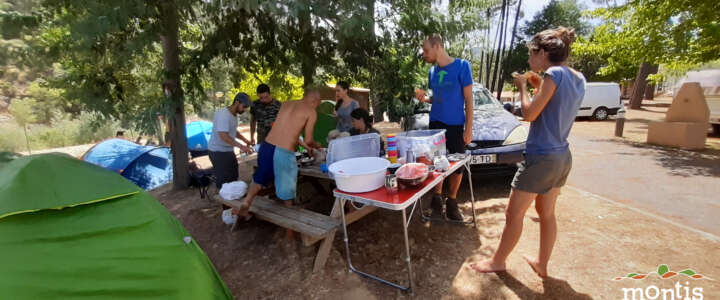 In campeggio al bioparco di Carvalhais (Portogallo) – Campo di volontariato a luglio