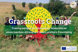Grassroots Change