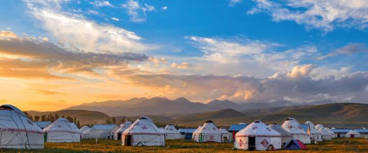 Estate 2023 in Mongolia! Agricoltura ecologica nelle steppe