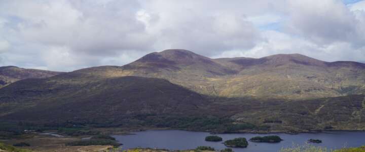 Progetto di conservazione delle foreste del Parco nazionale di Killarney – Campo in Irlanda
