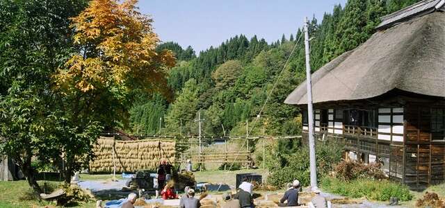 Volontariato di breve termine nell’Oasi Ecologica di Maki in Giappone