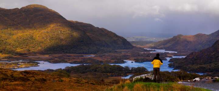 Preservare la Natura: Volontariato nel Parco Nazionale di Killarney in Irlanda