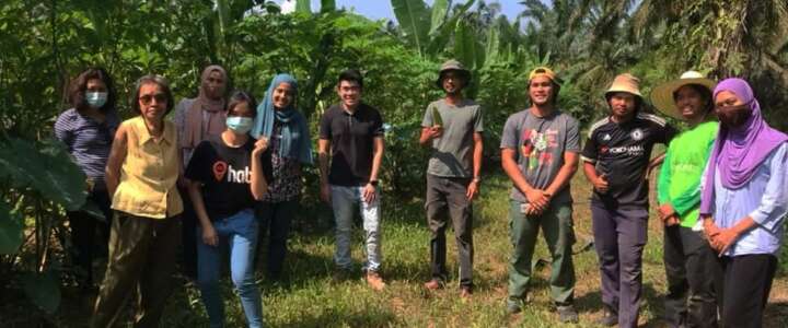 Campo in Indonesia! Coltivare la Sostenibilità e la Condivisione attraverso la Permacultura