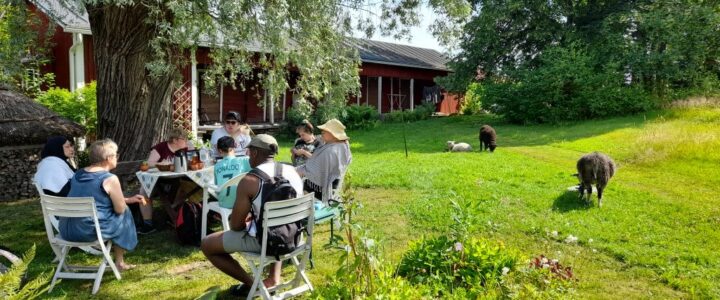 Esperienza di Volontariato tra Natura e Tradizioni ad Äijälä, Finlandia Centrale