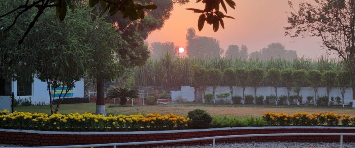 Volontariato Ambientale in India: Protezione della Natura e Cultura Locale