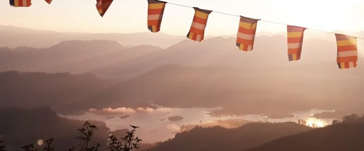 Campo di Volontariato a Maggio: Ambiente e Sostenibilità ad Adam’s Peak, Sri Lanka