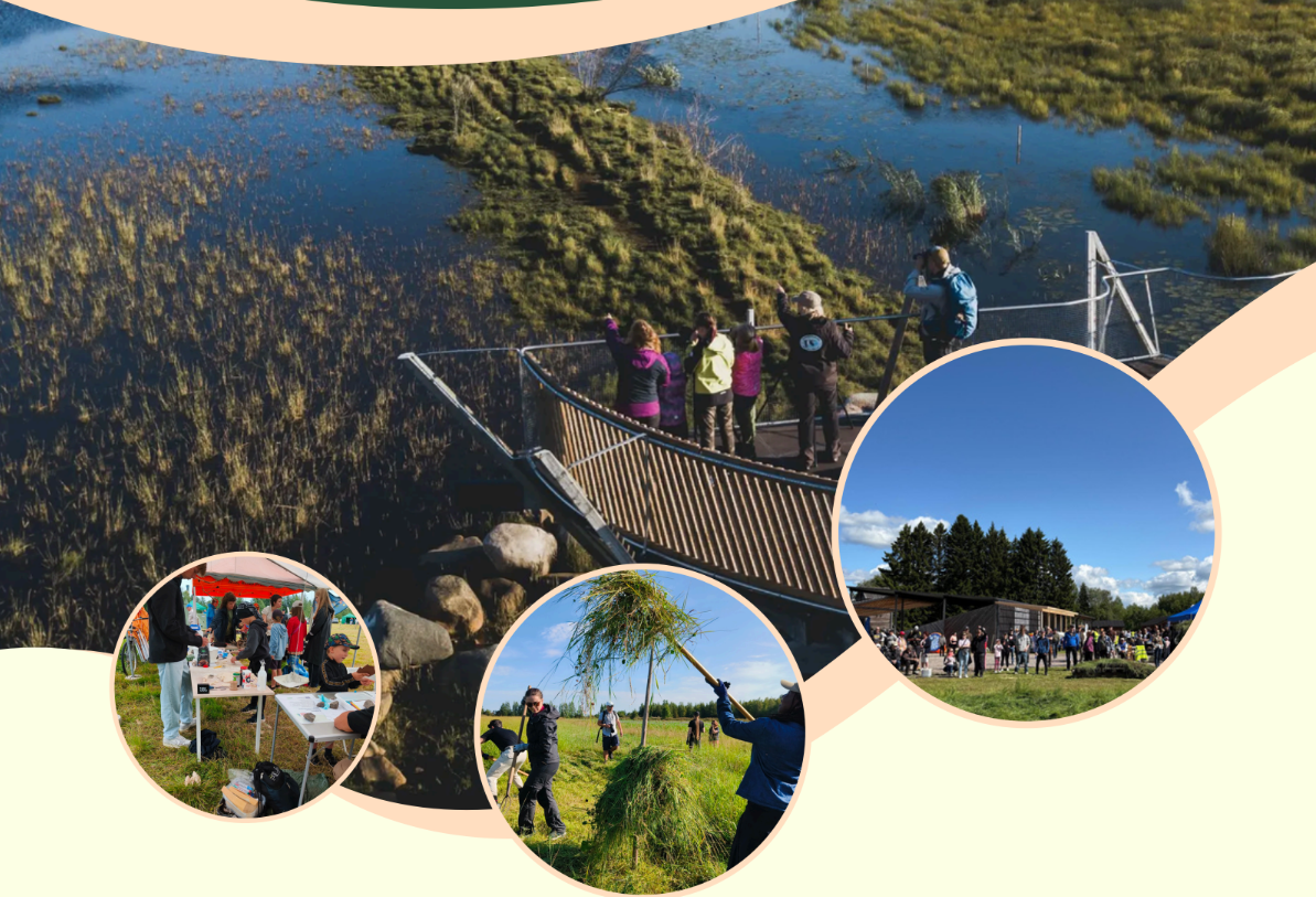 Volontariato ESC in Finlandia con bambini e natura: esperienza di gruppo a Liminka