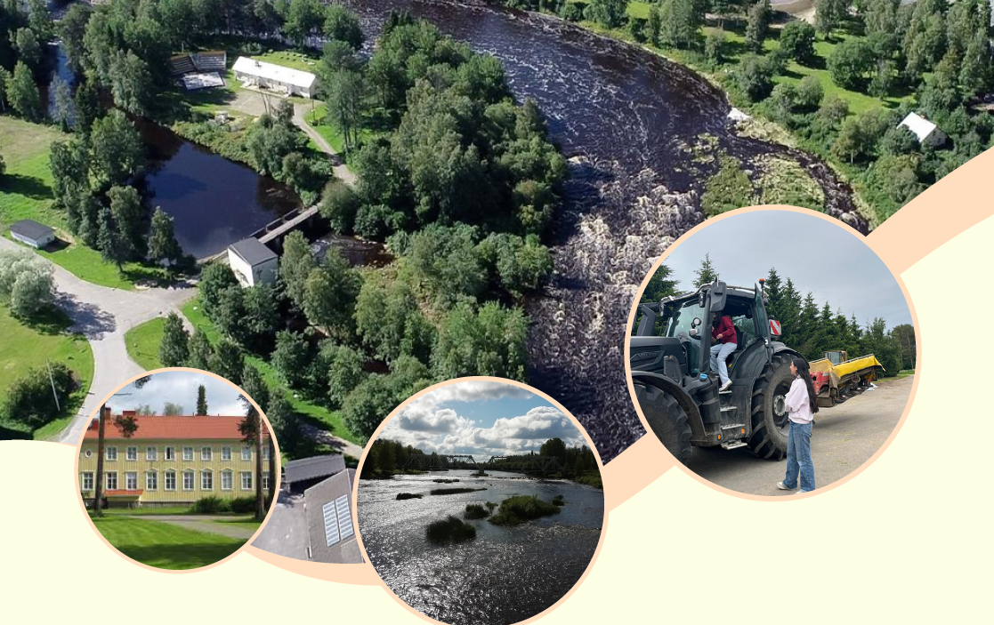 Volontariato in Finlandia tra natura e cultura locale: progetto a Siikajoki