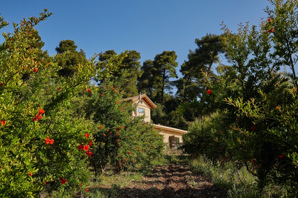 Volontariato in Grecia tra natura e comunità: progetto ESC sull’isola di Evia