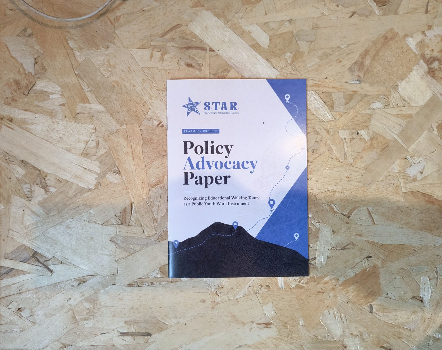 STAR Policy Paper: Recognising Educational Walking Tours as a Public Youth Work Instrument