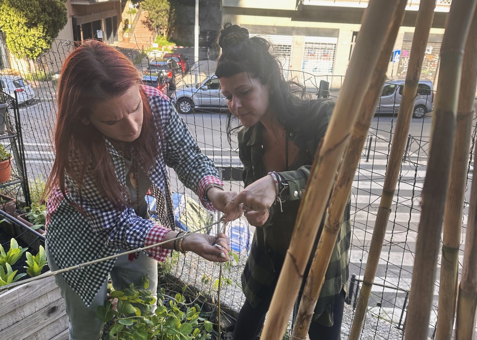 Coltivare Comunità e Conoscenza: ortoterapia, autoproduzione e cura del verde a “La Città dell’Utopia”