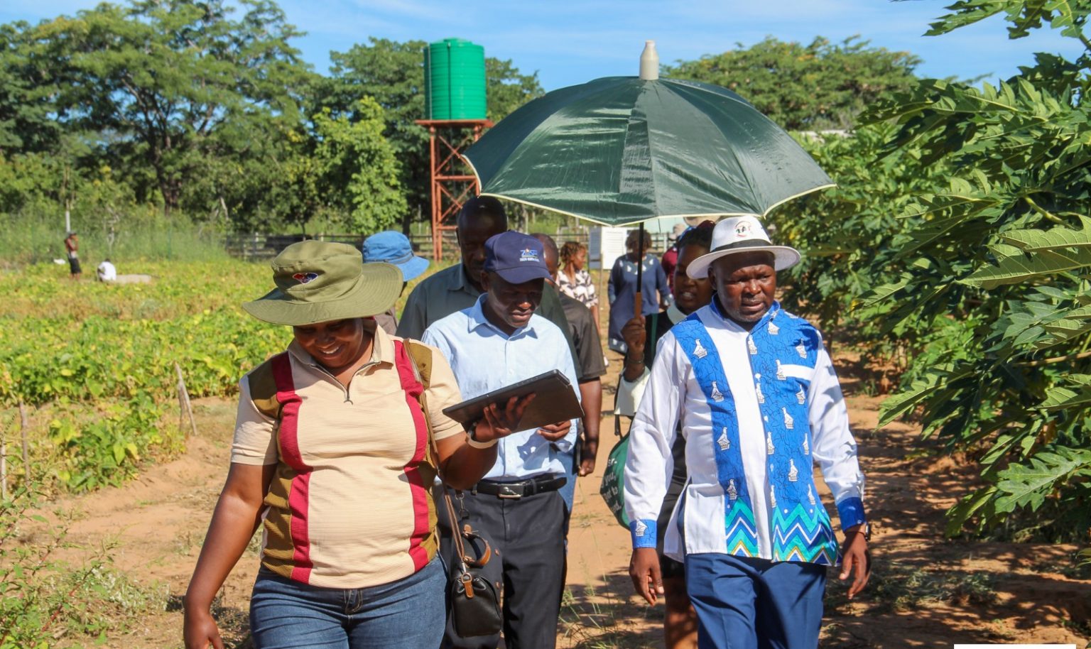 Permacultura e azione climatica in Zimbabwe: un campo di volontariato trasformativo