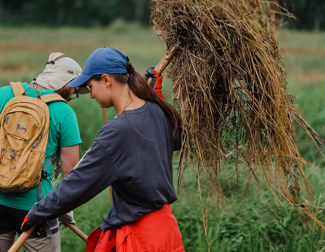 Campo di volontariato nei Paesi Bassi: contribuisci alla tutela del Parco Nazionale Drentsche Aa