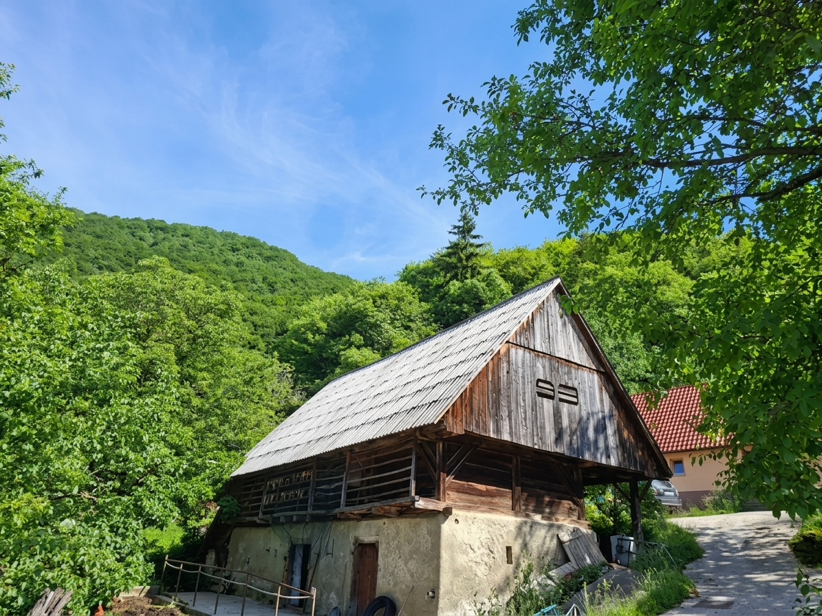 Vivi una settimana in una fattoria rigenerativa in Slovenia