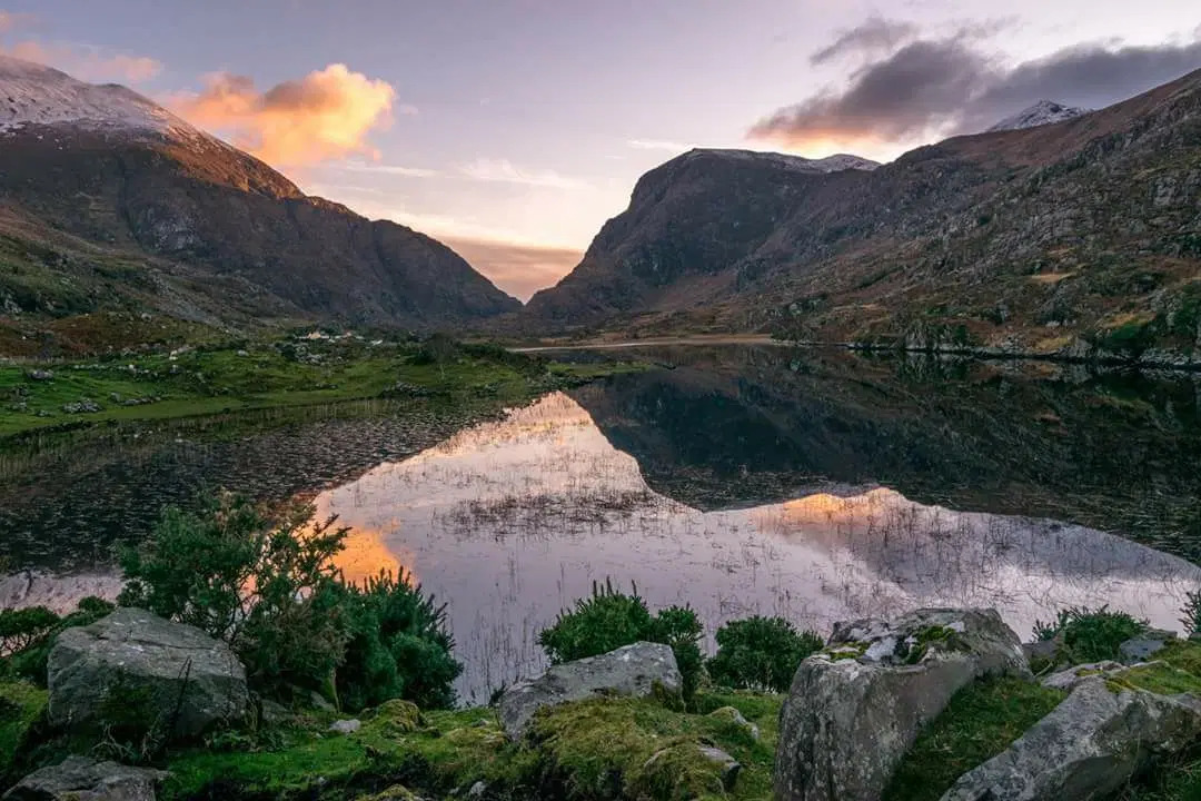 Proteggi la biodiversità nel Parco Nazionale di Killarney