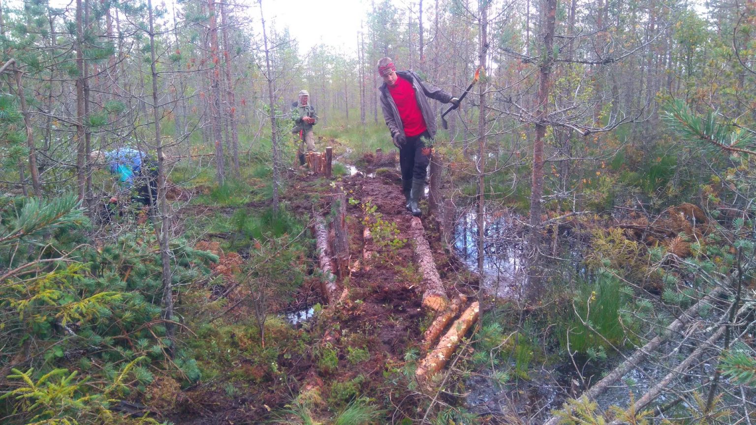 Proteggi la biodiversità in Finlandia: campo di volontariato tra paludi e paesaggi naturali