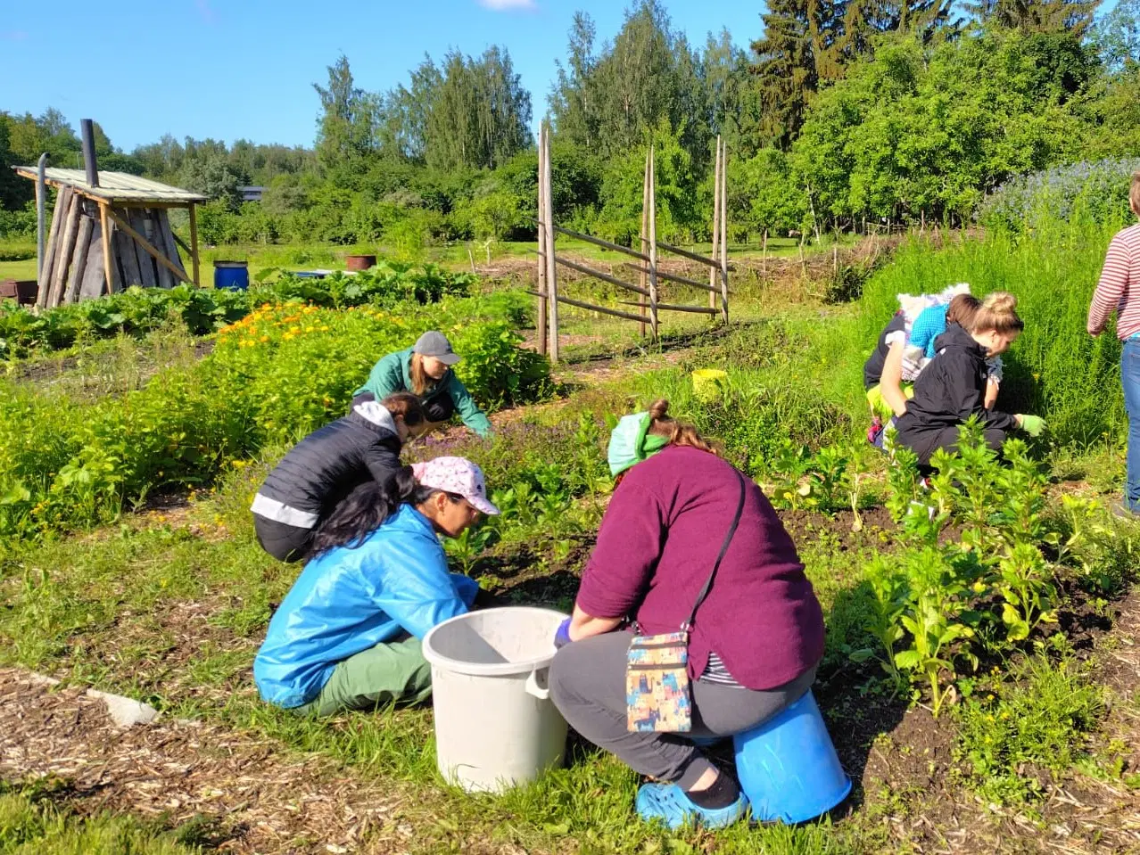 Campo di volontariato in Finlandia tra orticoltura biologica e inclusione sociale