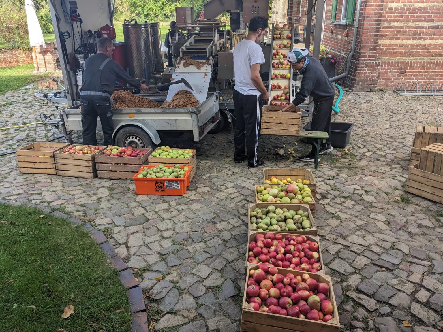 Partecipa a un campo di volontariato in Germania dedicato all’edilizia sostenibile e alla biodiversità