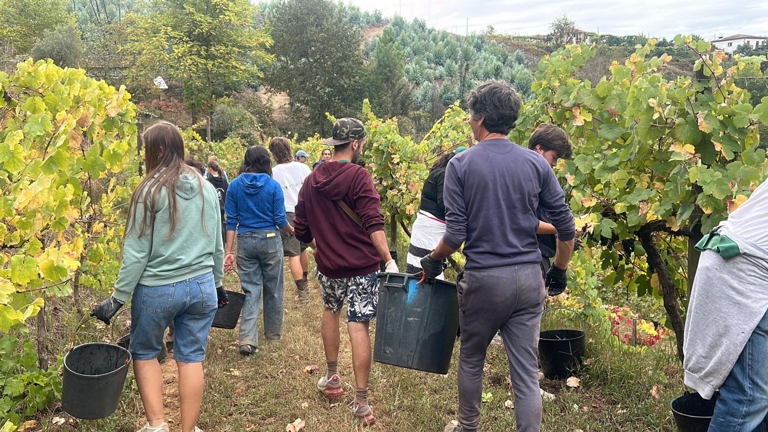 Un altro mondo è possibile: volontariato e agricoltura sostenibile in Portogallo